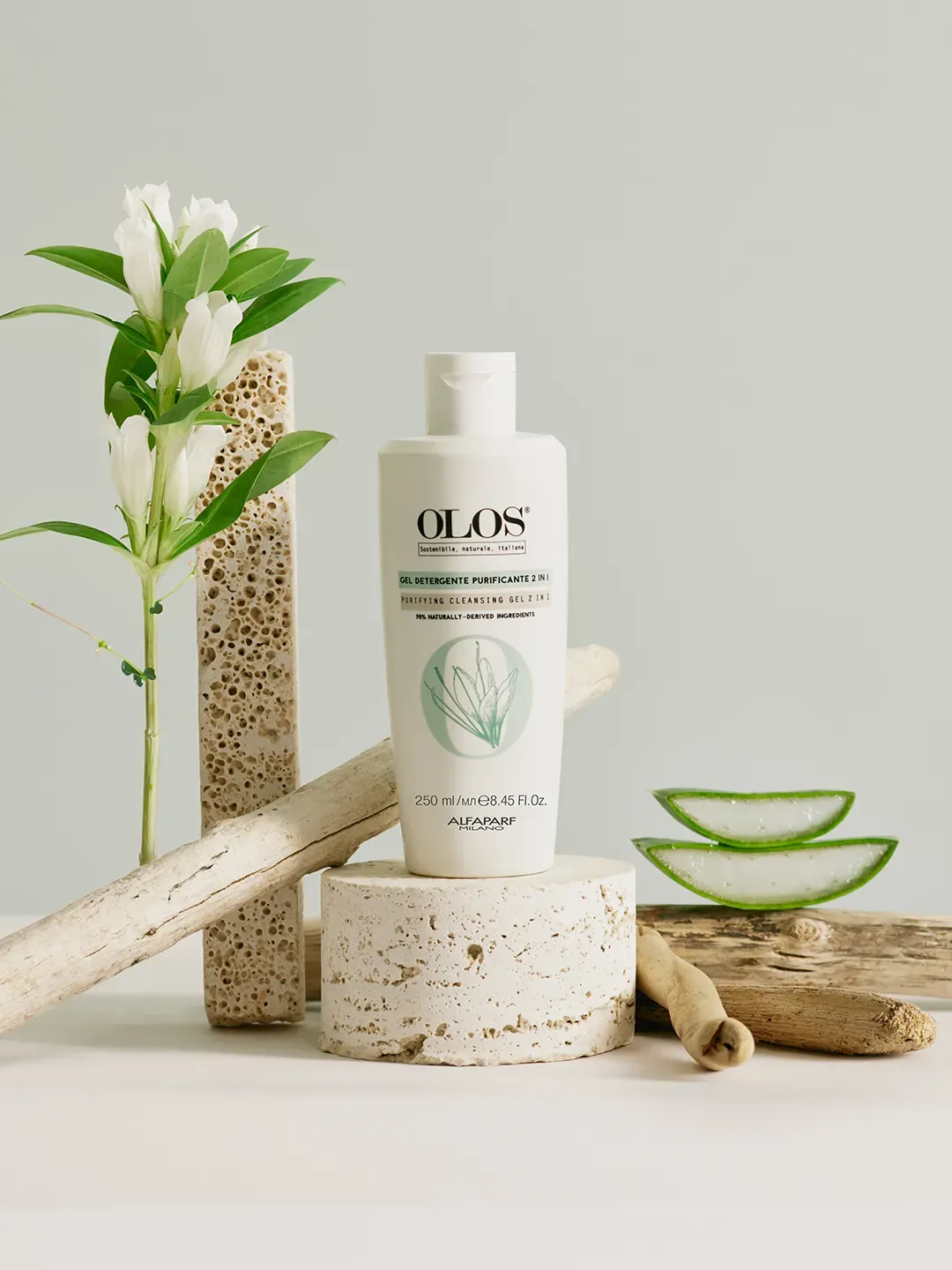 GEL DETERGENTE PURIFICANTE 2 IN 1