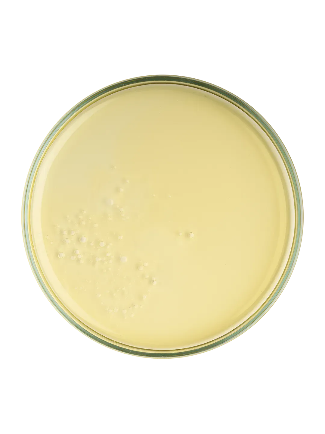 OLIO VISO-CORPO-CAPELLI - immagine 2